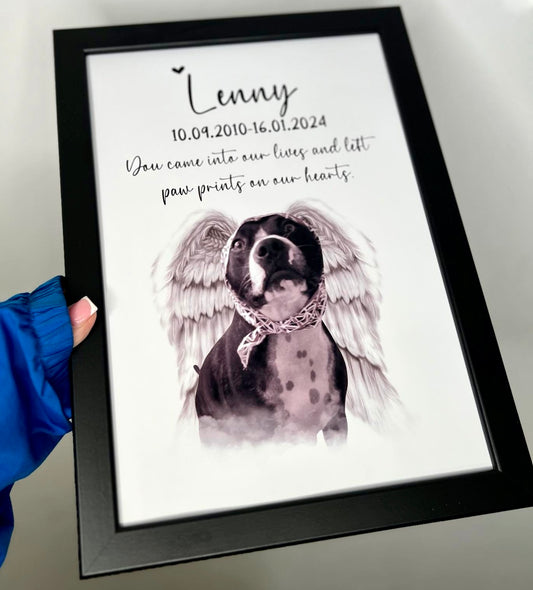 Pet memorial, wings and clouds added